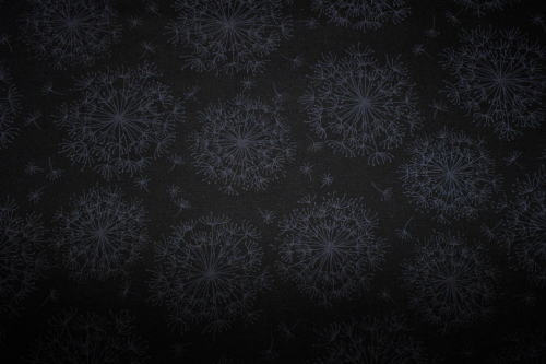 Preview: Designer-Baumwollstoff Dandelion black (10 cm)